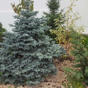 20161020_133534