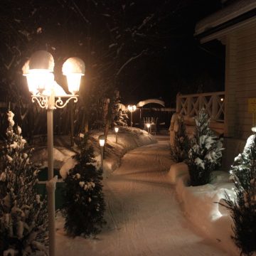 IMG_7701