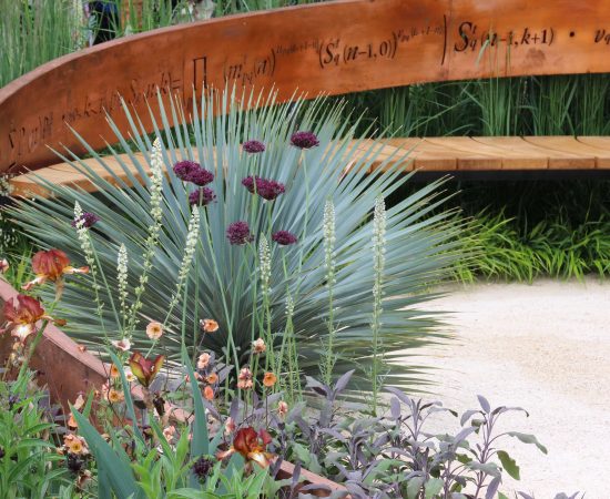 IMG_9656